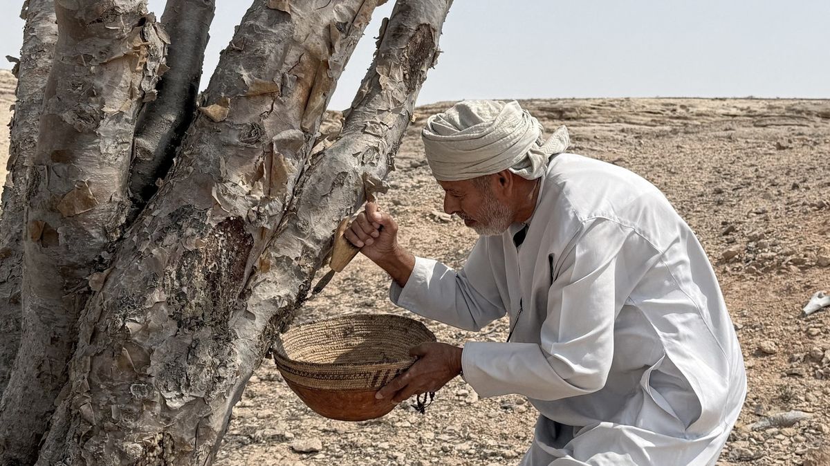 Fotky: Tady už tisíce let sbírají „bílé zlato“